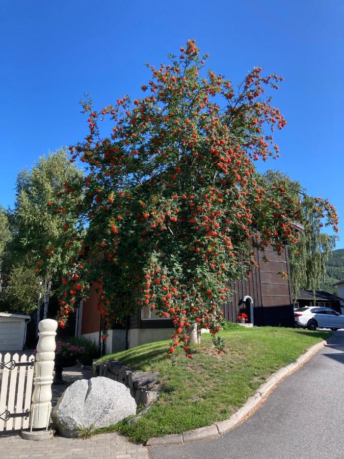 Garden Apartment In Gol Bagian luar foto